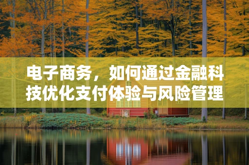电子商务，如何通过金融科技优化支付体验与风险管理？
