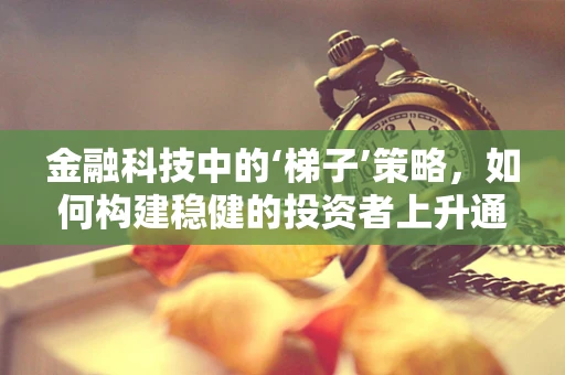 金融科技中的‘梯子’策略，如何构建稳健的投资者上升通道？