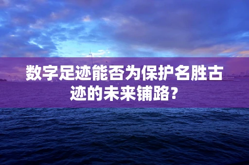 数字足迹能否为保护名胜古迹的未来铺路？
