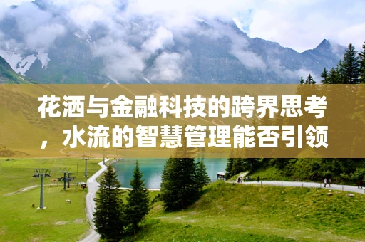 花洒与金融科技的跨界思考，水流的智慧管理能否引领未来支付新风尚？