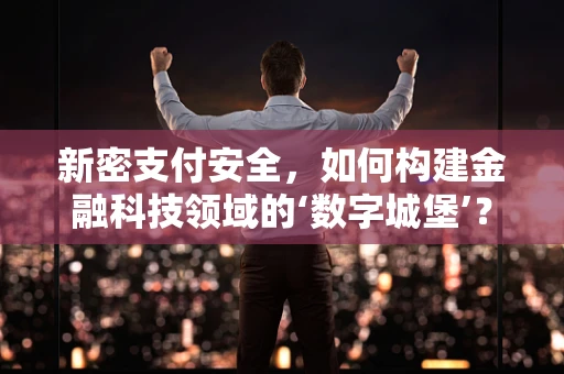 新密支付安全，如何构建金融科技领域的‘数字城堡’？