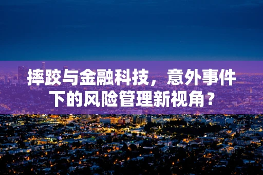 摔跤与金融科技，意外事件下的风险管理新视角？