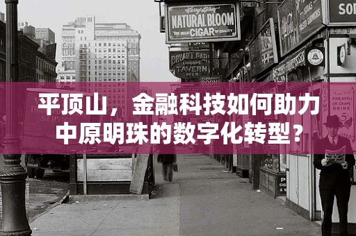 平顶山，金融科技如何助力中原明珠的数字化转型？