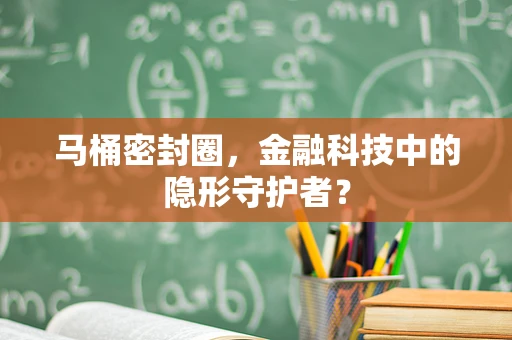 马桶密封圈，金融科技中的隐形守护者？