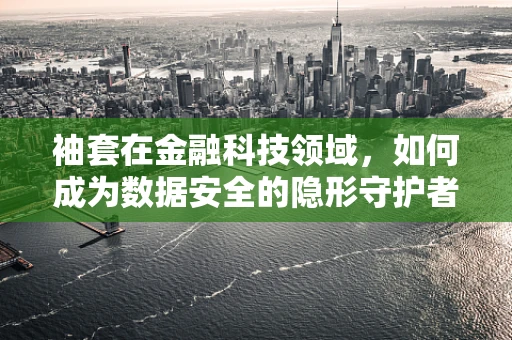 袖套在金融科技领域，如何成为数据安全的隐形守护者？
