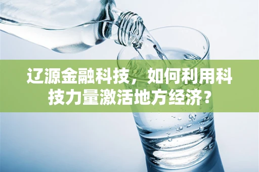 辽源金融科技，如何利用科技力量激活地方经济？