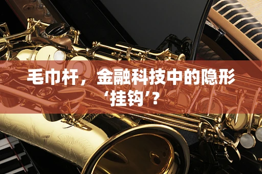 毛巾杆，金融科技中的隐形‘挂钩’？
