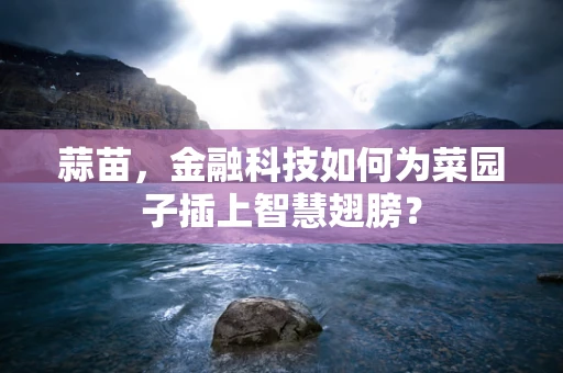 蒜苗，金融科技如何为菜园子插上智慧翅膀？