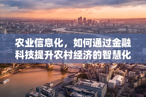 农业信息化，如何通过金融科技提升农村经济的智慧化水平？