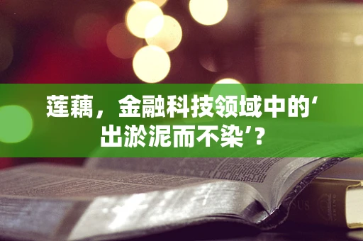莲藕，金融科技领域中的‘出淤泥而不染’？