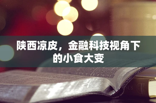 陕西凉皮，金融科技视角下的小食大变
