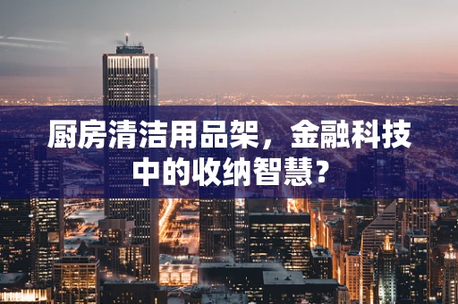 厨房清洁用品架，金融科技中的收纳智慧？