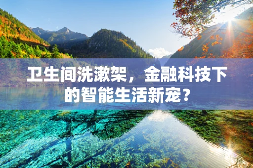 卫生间洗漱架，金融科技下的智能生活新宠？