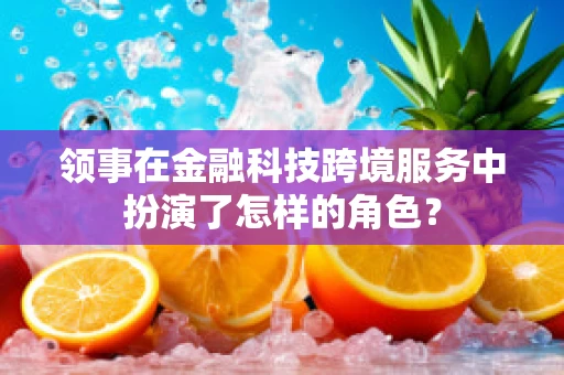领事在金融科技跨境服务中扮演了怎样的角色？