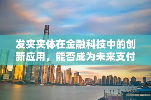 发夹夹体在金融科技中的创新应用，能否成为未来支付安全的新防线？