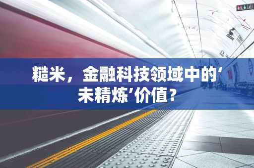 糙米，金融科技领域中的‘未精炼’价值？