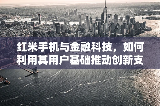 红米手机与金融科技，如何利用其用户基础推动创新支付解决方案？