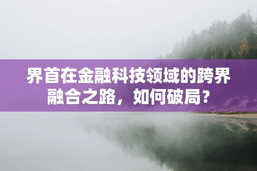 界首在金融科技领域的跨界融合之路，如何破局？