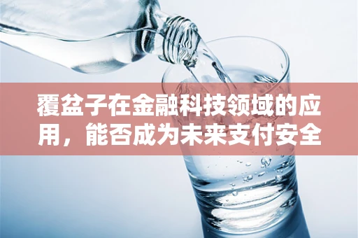 覆盆子在金融科技领域的应用，能否成为未来支付安全的‘守护者’？