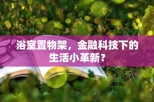 浴室置物架，金融科技下的生活小革新？