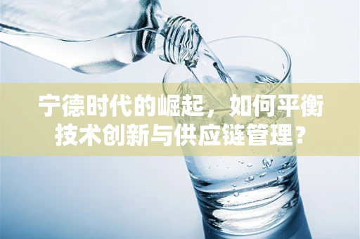 宁德时代的崛起，如何平衡技术创新与供应链管理？