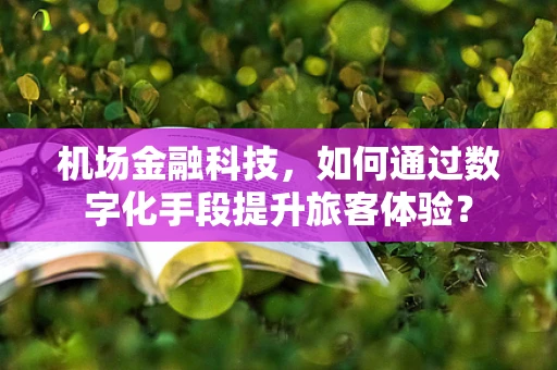 机场金融科技，如何通过数字化手段提升旅客体验？