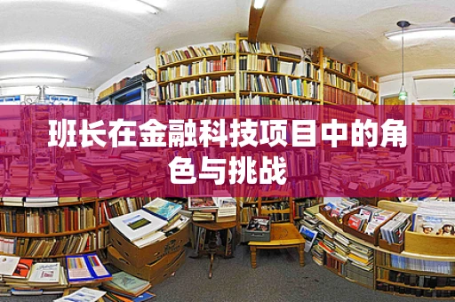 班长在金融科技项目中的角色与挑战