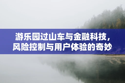 游乐园过山车与金融科技，风险控制与用户体验的奇妙融合