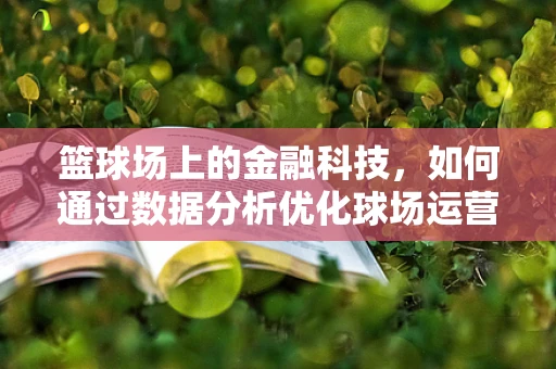 篮球场上的金融科技，如何通过数据分析优化球场运营？