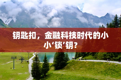 钥匙扣，金融科技时代的小小‘锁’钥？