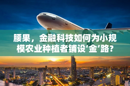 腰果，金融科技如何为小规模农业种植者铺设‘金’路？