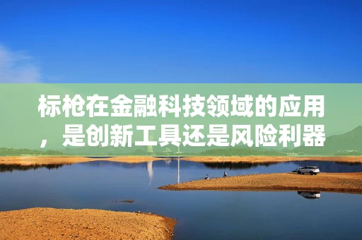 标枪在金融科技领域的应用，是创新工具还是风险利器？