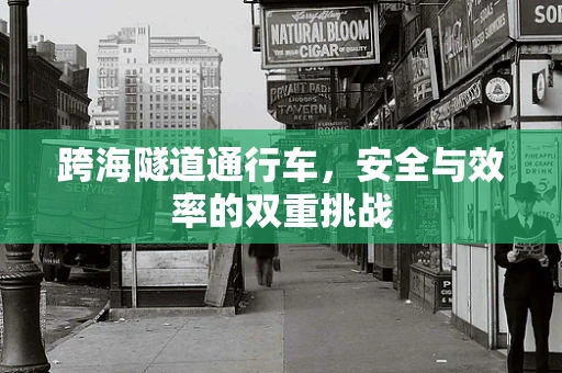 跨海隧道通行车，安全与效率的双重挑战