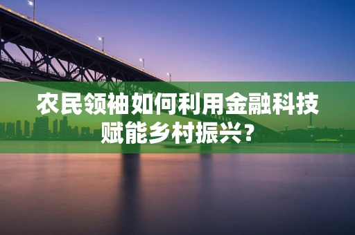 农民领袖如何利用金融科技赋能乡村振兴？