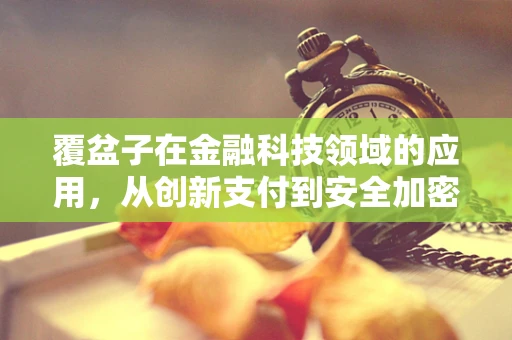 覆盆子在金融科技领域的应用，从创新支付到安全加密的甜蜜果实？