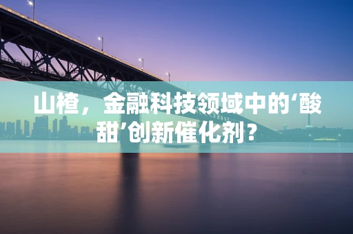 山楂，金融科技领域中的‘酸甜’创新催化剂？