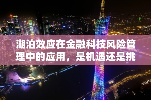 湖泊效应在金融科技风险管理中的应用，是机遇还是挑战？