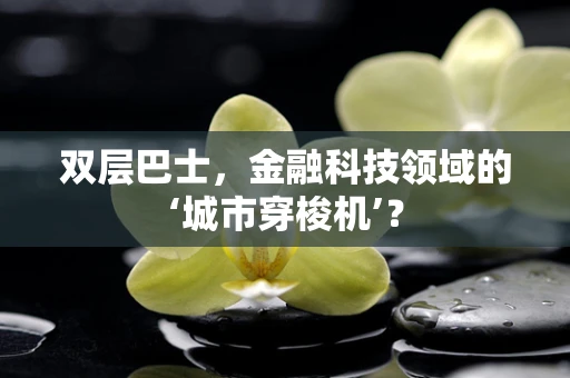 双层巴士，金融科技领域的‘城市穿梭机’？