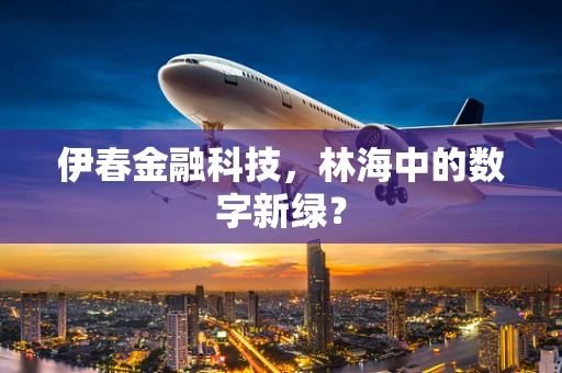 伊春金融科技，林海中的数字新绿？