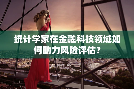 统计学家在金融科技领域如何助力风险评估？