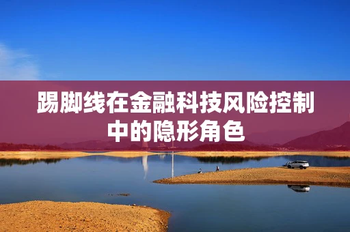 踢脚线在金融科技风险控制中的隐形角色