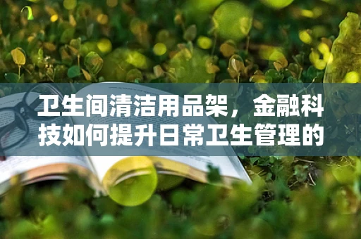 卫生间清洁用品架，金融科技如何提升日常卫生管理的效率与安全？