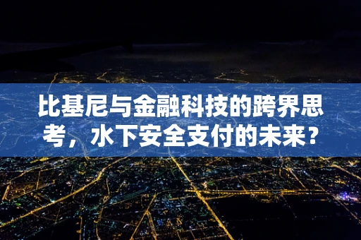 比基尼与金融科技的跨界思考，水下安全支付的未来？