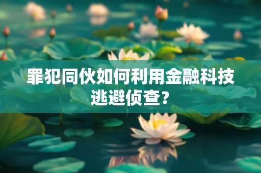 罪犯同伙如何利用金融科技逃避侦查？