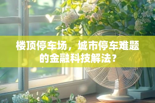 楼顶停车场，城市停车难题的金融科技解法？