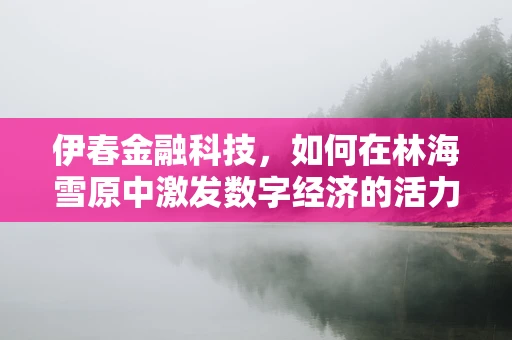 伊春金融科技，如何在林海雪原中激发数字经济的活力？
