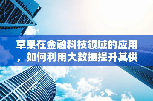 草果在金融科技领域的应用，如何利用大数据提升其供应链透明度？