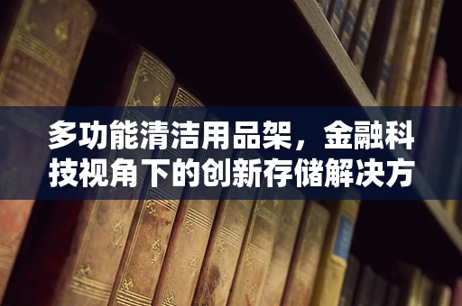 多功能清洁用品架，金融科技视角下的创新存储解决方案？