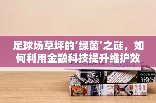 足球场草坪的‘绿茵’之谜，如何利用金融科技提升维护效率？