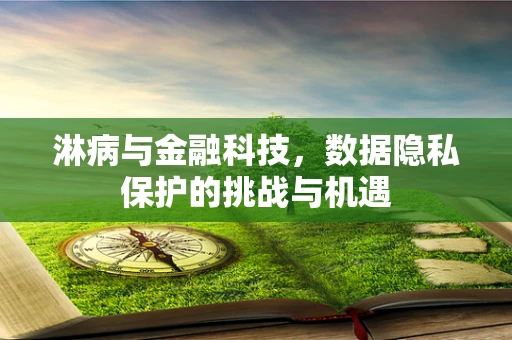 淋病与金融科技，数据隐私保护的挑战与机遇